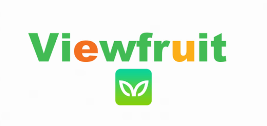 Viewfruit 評價